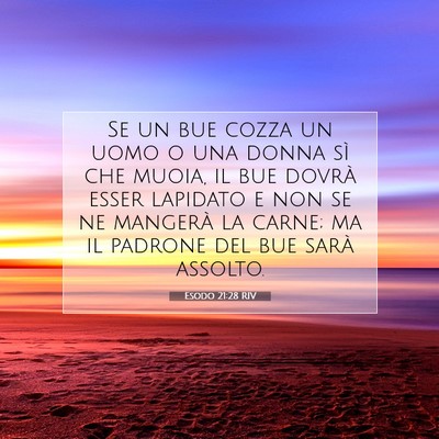 Picture 07 - Esodo 21:28 RIV - Se un bue cozza un uomo o una donna sì che - Bible Verse Picture