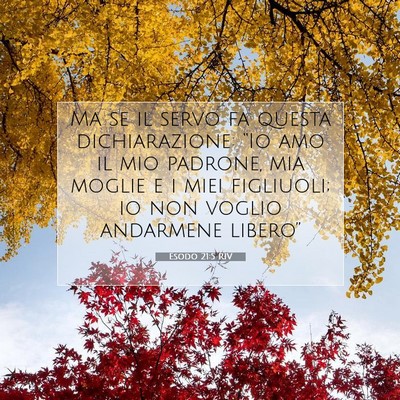 Picture 07 - Esodo 21:5 RIV - Ma se il servo fa questa dichiarazione: “Io amo - Bible Verse Picture