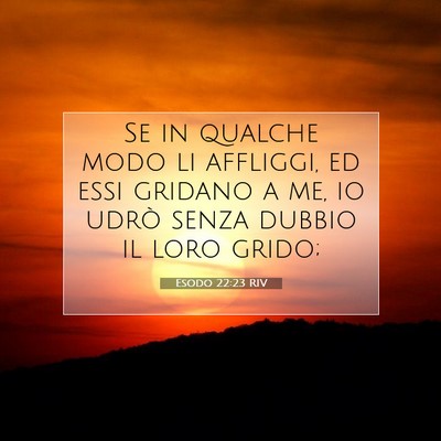 Picture 07 - Esodo 22:23 RIV - Se in qualche modo li affliggi, ed essi gridano a - Bible Verse Picture