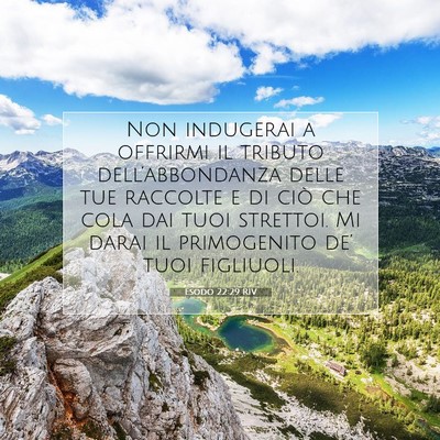 Picture 07 - Esodo 22:29 RIV - Non indugerai a offrirmi il tributo - Bible Verse Picture
