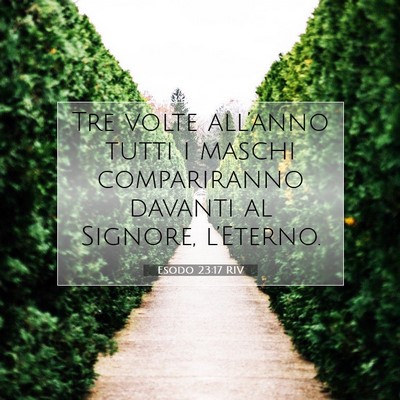 Picture 07 - Esodo 23:17 RIV - Tre volte all’anno tutti i maschi compariranno - Bible Verse Picture