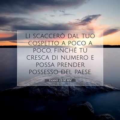 Picture 07 - Esodo 23:30 RIV - Li scaccerò dal tuo cospetto a poco a poco, - Bible Verse Picture