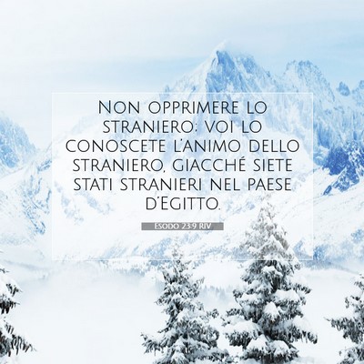 Picture 07 - Esodo 23:9 RIV - Non opprimere lo straniero; voi lo conoscete - Bible Verse Picture