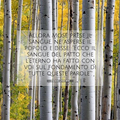 Picture 07 - Esodo 24:8 RIV - Allora Mosè prese il sangue, ne asperse il - Bible Verse Picture