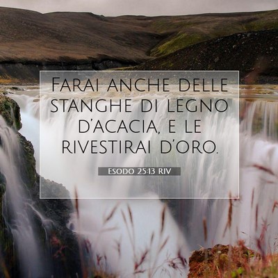 Picture 07 - Esodo 25:13 RIV - Farai anche delle stanghe di legno d’acacia, e - Bible Verse Picture