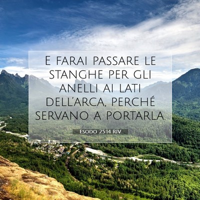 Picture 07 - Esodo 25:14 RIV - E farai passare le stanghe per gli anelli ai lati - Bible Verse Picture