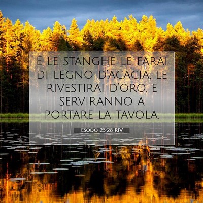 Picture 07 - Esodo 25:28 RIV - E le stanghe le farai di legno d’acacia, le - Bible Verse Picture