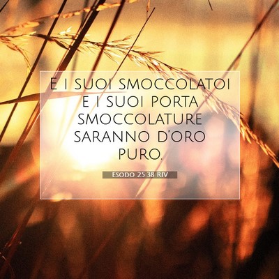 Picture 07 - Esodo 25:38 RIV - E i suoi smoccolatoi e i suoi porta smoccolature - Bible Verse Picture