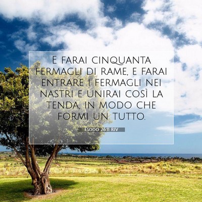 Picture 07 - Esodo 26:11 RIV - E farai cinquanta fermagli di rame, e farai - Bible Verse Picture