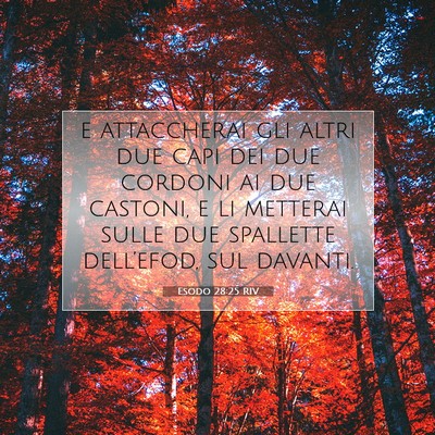 Picture 07 - Esodo 28:25 RIV - e attaccherai gli altri due capi dei due cordoni - Bible Verse Picture