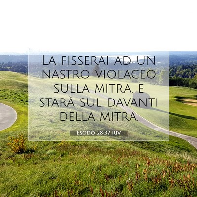 Picture 07 - Esodo 28:37 RIV - La fisserai ad un nastro violaceo sulla mitra, e - Bible Verse Picture
