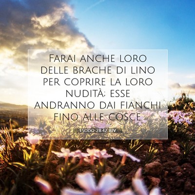 Picture 07 - Esodo 28:42 RIV - Farai anche loro delle brache di lino per coprire - Bible Verse Picture