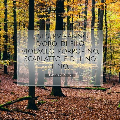 Picture 07 - Esodo 28:5 RIV - e si serviranno d’oro, di filo violaceo, - Bible Verse Picture