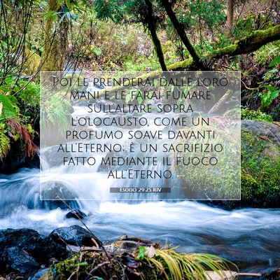 Picture 07 - Esodo 29:25 RIV - Poi le prenderai dalle loro mani e le farai - Bible Verse Picture