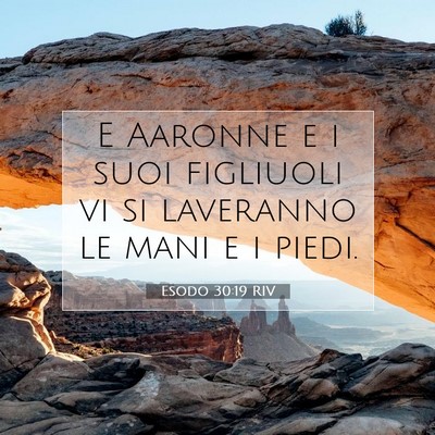Picture 07 - Esodo 30:19 RIV - E Aaronne e i suoi figliuoli vi si laveranno le - Bible Verse Picture