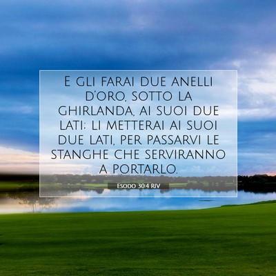Picture 07 - Esodo 30:4 RIV - E gli farai due anelli d’oro, sotto la - Bible Verse Picture