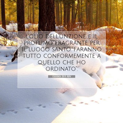 Picture 07 - Esodo 31:11 RIV - l’olio dell’unzione e il profumo fragrante - Bible Verse Picture