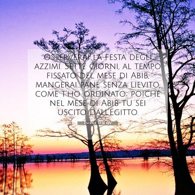 Picture 07 - Esodo 34:18 RIV - Osserverai la festa degli azzimi. Sette giorni, - Bible Verse Picture