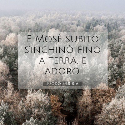 Picture 07 - Esodo 34:8 RIV - E Mosè subito s’inchinò fino a terra, e - Bible Verse Picture