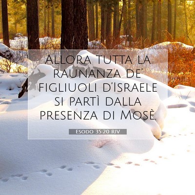 Picture 07 - Esodo 35:20 RIV - Allora tutta la raunanza de’ figliuoli - Bible Verse Picture