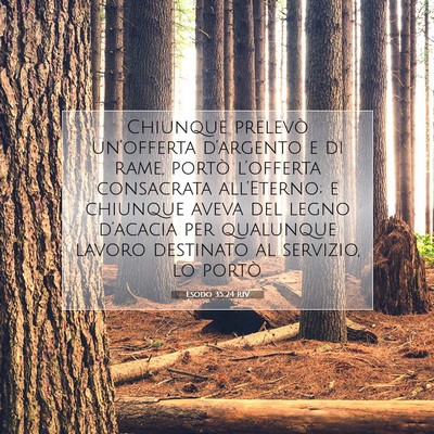 Picture 07 - Esodo 35:24 RIV - Chiunque prelevò un’offerta d’argento e di - Bible Verse Picture