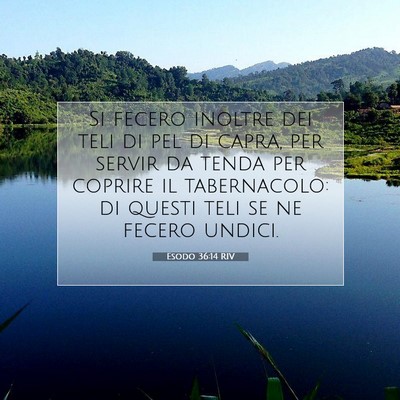 Picture 07 - Esodo 36:14 RIV - Si fecero inoltre dei teli di pel di capra, per - Bible Verse Picture