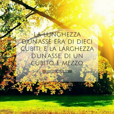 Picture 07 - Esodo 36:21 RIV - La lunghezza d’un’asse era di dieci cubiti, e - Bible Verse Picture