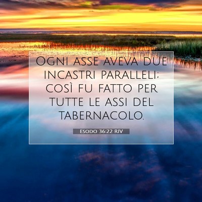 Picture 07 - Esodo 36:22 RIV - Ogni asse aveva due incastri paralleli; così fu - Bible Verse Picture