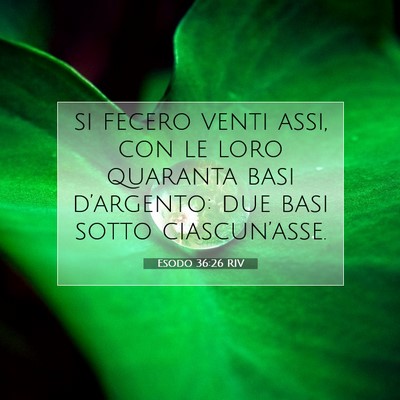 Picture 07 - Esodo 36:26 RIV - si fecero venti assi, con le loro quaranta basi - Bible Verse Picture
