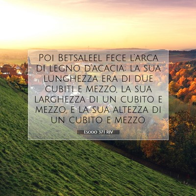 Picture 07 - Esodo 37:1 RIV - Poi Betsaleel fece l’arca di legno d’acacia; - Bible Verse Picture