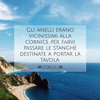 Picture 07 - Esodo 37:14 RIV - Gli anelli erano vicinissimi alla cornice per - Bible Verse Picture
