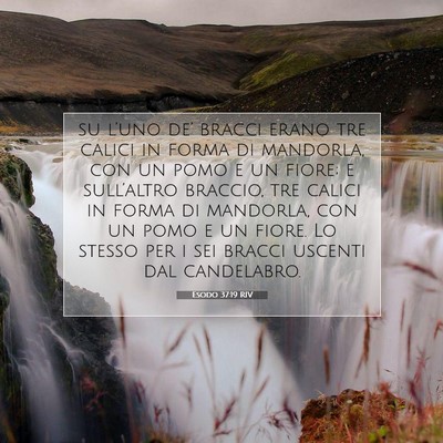 Picture 07 - Esodo 37:19 RIV - su l’uno de’ bracci erano tre calici in forma - Bible Verse Picture