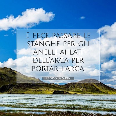 Picture 07 - Esodo 37:5 RIV - E fece passare le stanghe per gli anelli ai lati - Bible Verse Picture