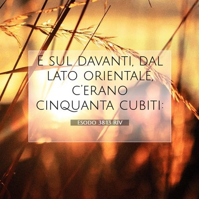 Picture 07 - Esodo 38:13 RIV - E sul davanti, dal lato orientale, c’erano - Bible Verse Picture