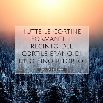 Picture 07 - Esodo 38:16 RIV - Tutte le cortine formanti il recinto del cortile - Bible Verse Picture