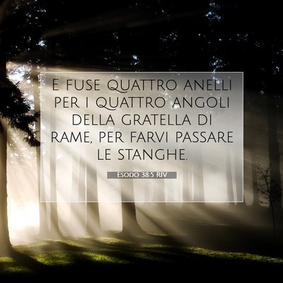 Picture 07 - Esodo 38:5 RIV - E fuse quattro anelli per i quattro angoli della - Bible Verse Picture