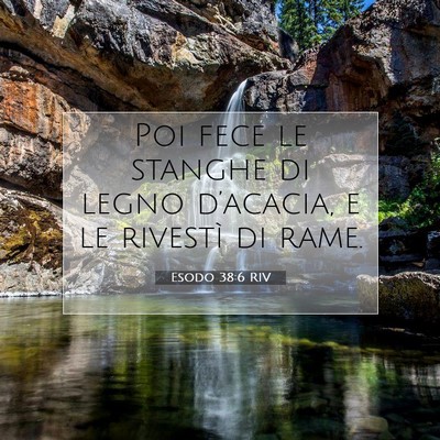 Picture 07 - Esodo 38:6 RIV - Poi fece le stanghe di legno d’acacia, e le - Bible Verse Picture
