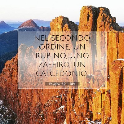 Picture 07 - Esodo 39:11 RIV - nel secondo ordine, un rubino, uno zaffiro, un - Bible Verse Picture