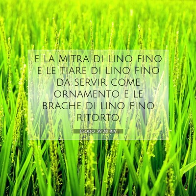 Picture 07 - Esodo 39:28 RIV - e la mitra di lino fino e le tiare di lino fino - Bible Verse Picture