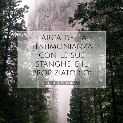 Picture 07 - Esodo 39:35 RIV - l’arca della testimonianza con le sue stanghe, - Bible Verse Picture