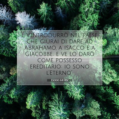 Picture 07 - Esodo 6:8 RIV - E v’introdurrò nel paese, che giurai di dare - Bible Verse Picture