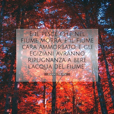 Picture 07 - Esodo 7:18 RIV - E il pesce ch’è nel fiume morrà, e il fiume - Bible Verse Picture