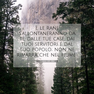 Picture 07 - Esodo 8:11 RIV - E le rane s’allontaneranno da te, dalle tue - Bible Verse Picture