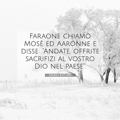 Picture 07 - Esodo 8:25 RIV - Faraone chiamò Mosè ed Aaronne e disse: - Bible Verse Picture