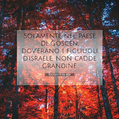 Picture 07 - Esodo 9:26 RIV - Solamente nel paese di Goscen, dov’erano i - Bible Verse Picture
