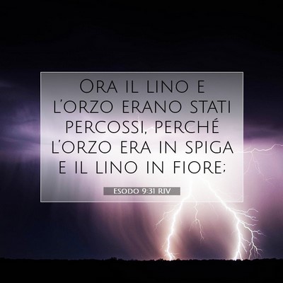 Picture 07 - Esodo 9:31 RIV - Ora il lino e l’orzo erano stati percossi, - Bible Verse Picture