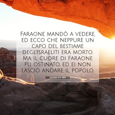 Picture 07 - Esodo 9:7 RIV - Faraone mandò a vedere, ed ecco che neppure un - Bible Verse Picture