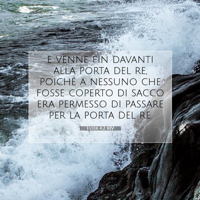 Picture 07 - Ester 4:2 RIV - e venne fin davanti alla porta del re, poiché a - Bible Verse Picture