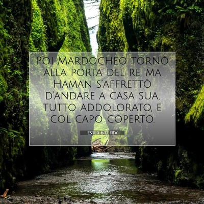 Picture 07 - Ester 6:12 RIV - Poi Mardocheo tornò alla porta del re, ma Haman - Bible Verse Picture