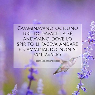Picture 07 - Ezechiele 1:12 RIV - Camminavano ognuno dritto davanti a sé, andavano - Bible Verse Picture